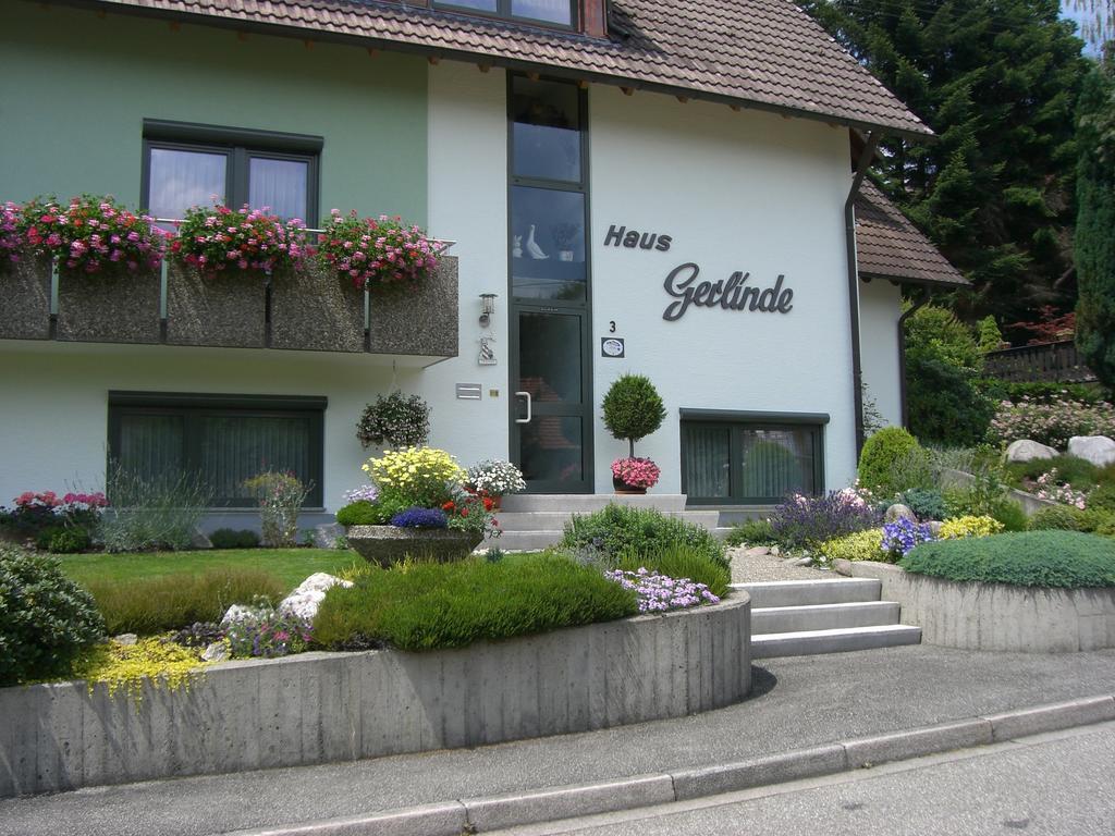فندق Haus Gerlinde تسل-آم-هارمرزباخ المظهر الخارجي الصورة
